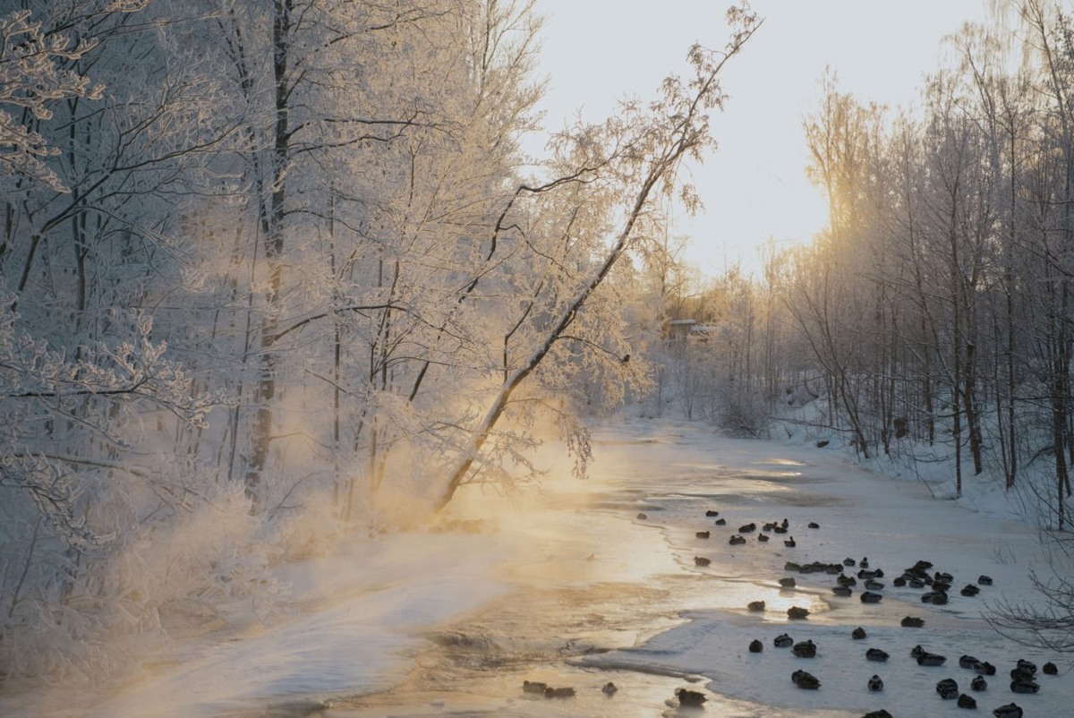    Фото: "Республика" / Лилия Кончакова