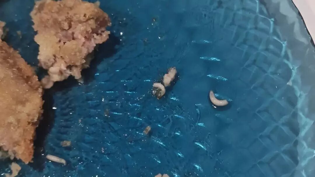     Источник: Роспотребнадзор