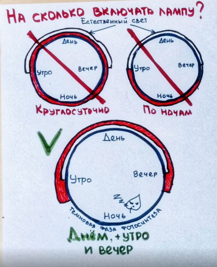 Люблю рисовать схемы.