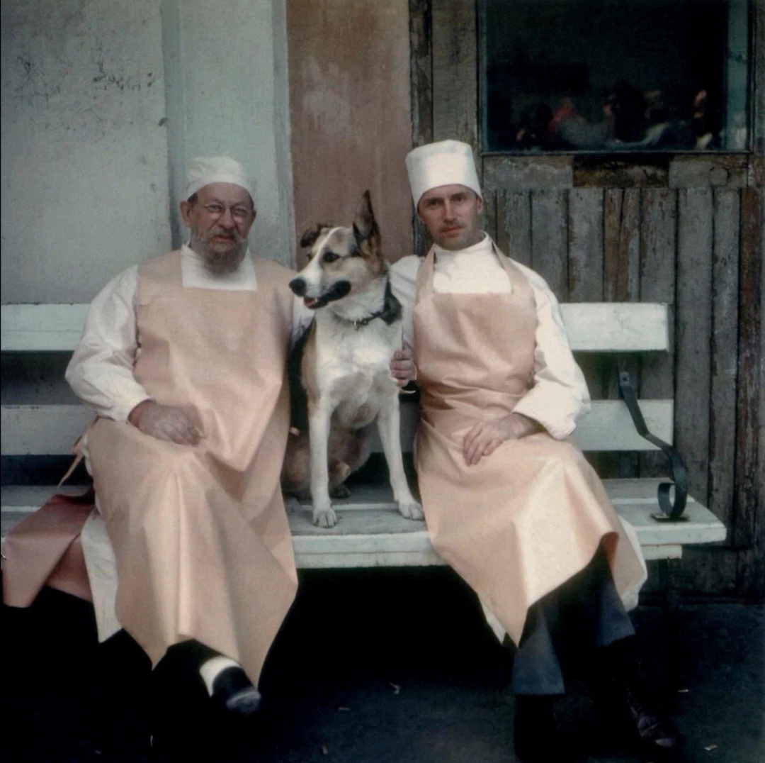 Съёмки ,, Собачьего сердца" . Могу ошибаться, но всё же  мне кажется, что в Борментале - Плотников сыграл самого себя. Человека интеллигентного по своей природе.