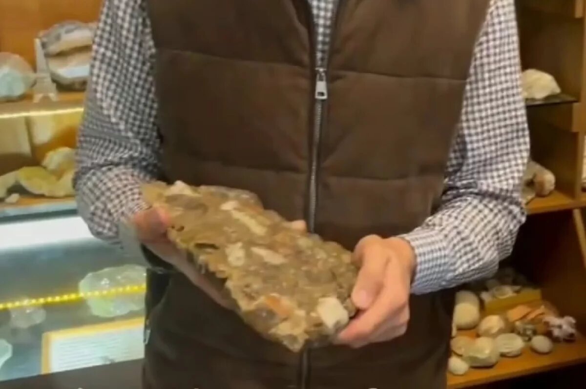    В музей Сочи передали уникальный экспонат с древнего материка Гондваны