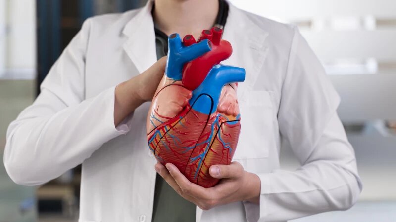     Здоровье сердца. freepik.com/freepik