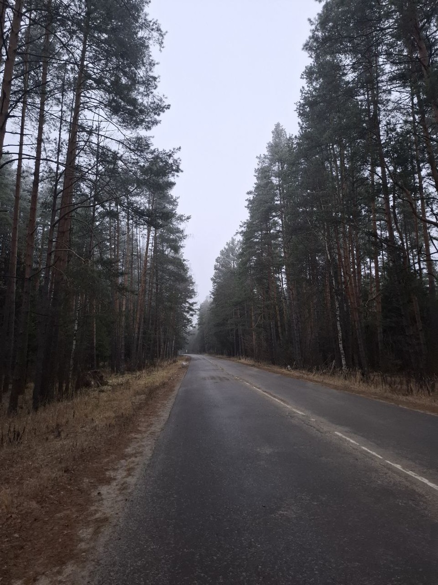 Дорога, ведущая в центр "Дхамма Джуллабха", пос. Авсюнино 