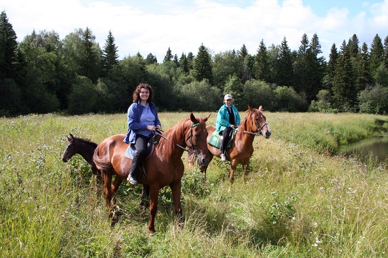 Изображение с ресурса village-eco.com