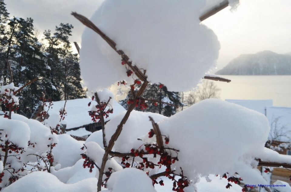    Погодные изменения в Алтайском заповеднике на протяжении ноября. Источник: Телеграм-канал Алтайского заповедника