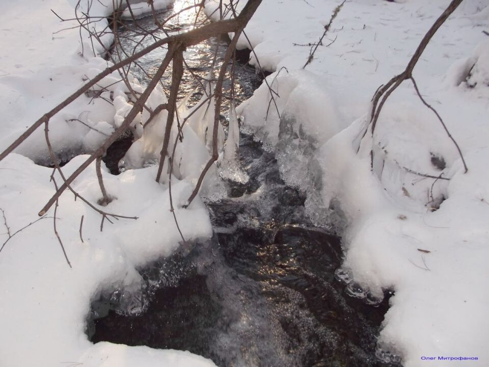    Погодные изменения в Алтайском заповеднике на протяжении ноября. Источник: Телеграм-канал Алтайского заповедника