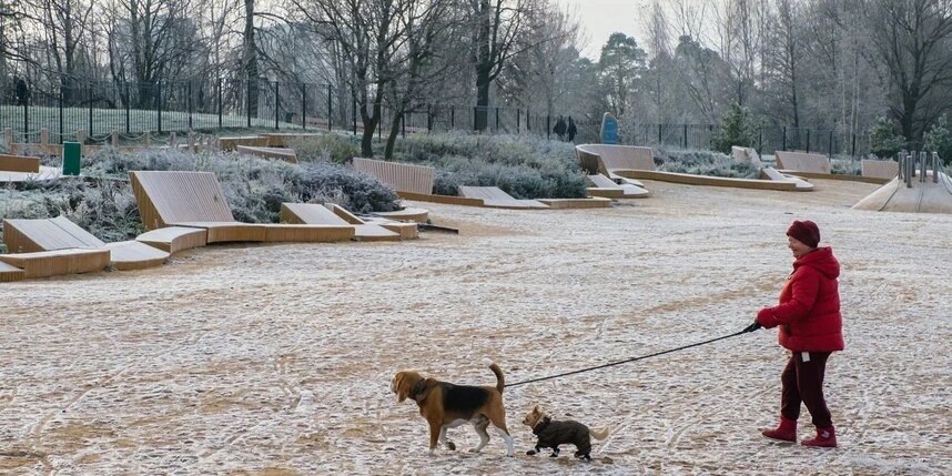    Алёна Бобрович