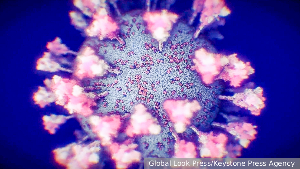     Фото: Global Look Press/Keystone Press Agency   
 Текст: Мария Иванова