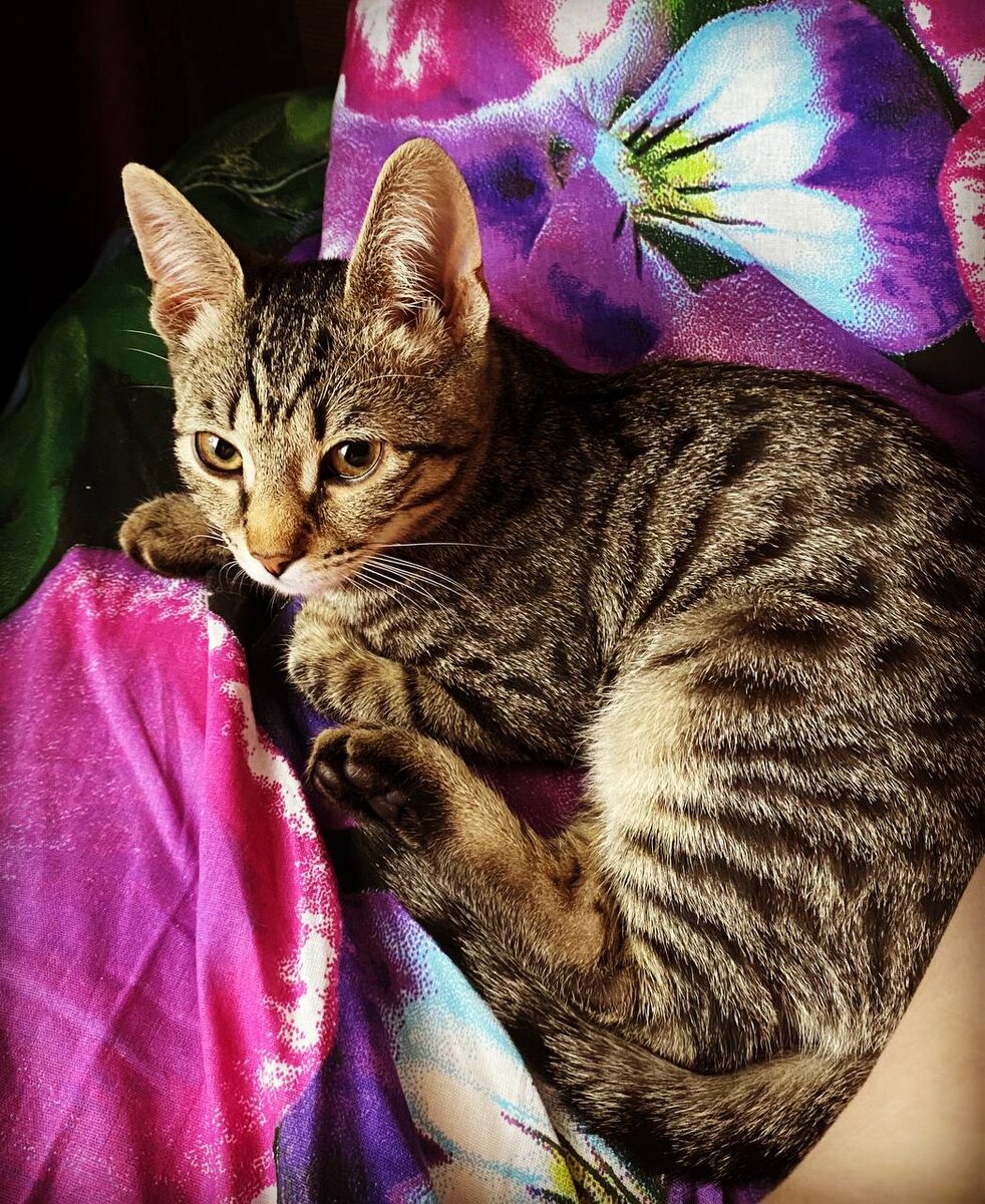 Одна из первых фотографий.