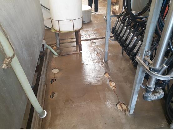    Фото: сайт Россельхознадзора Алена Калашникова