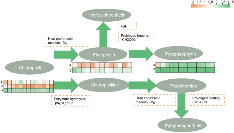 pmc.ncbi.nlm.nih.gov
