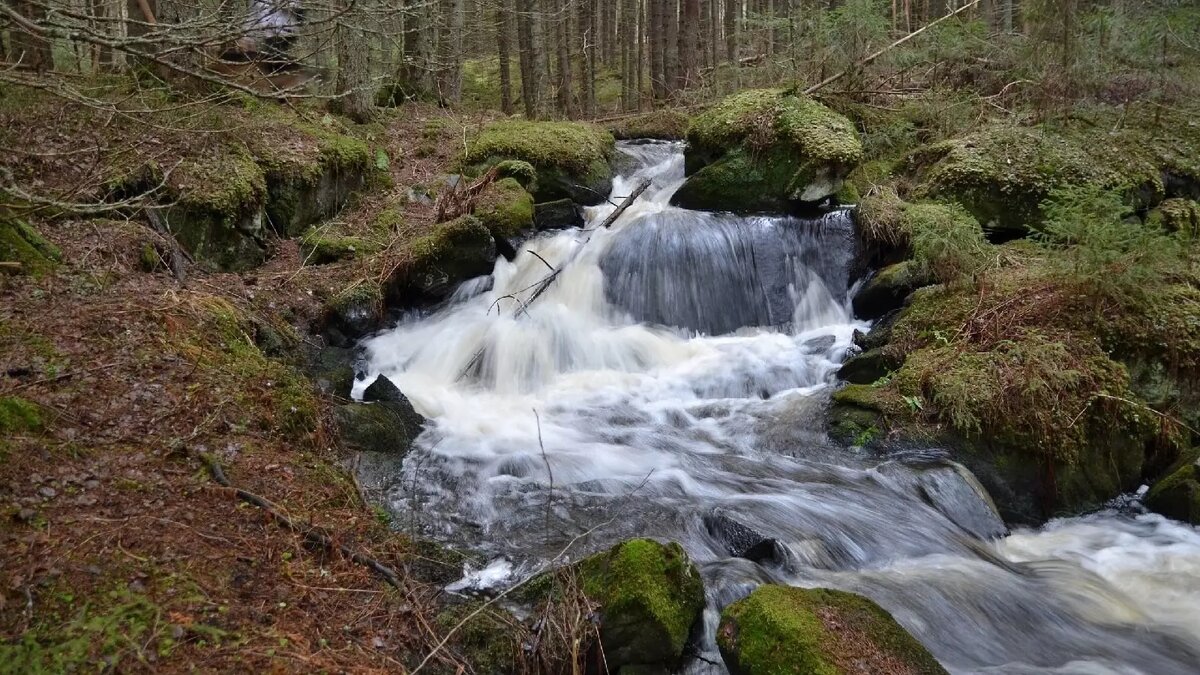     Источник: Краеведческий клуб «Оберег». Карелия. / vk