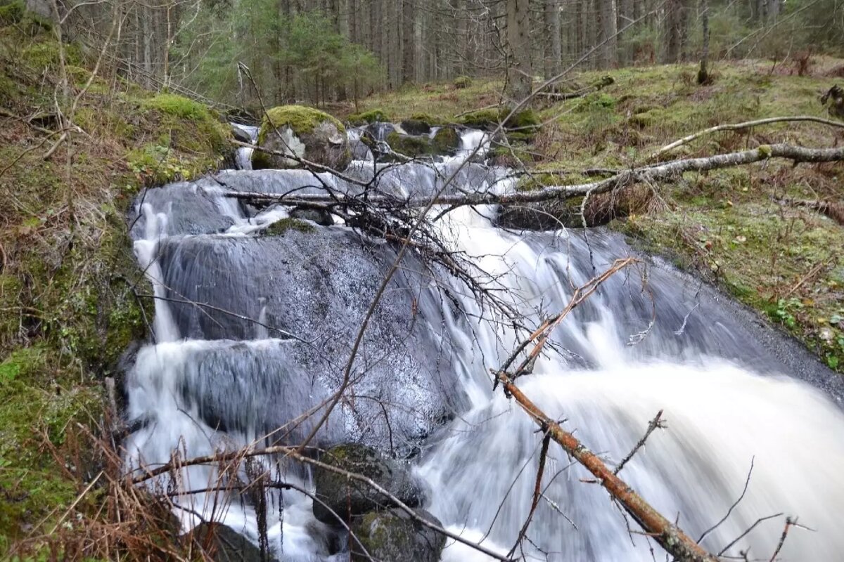     Источник: Краеведческий клуб "Оберег". Карелия. / vk