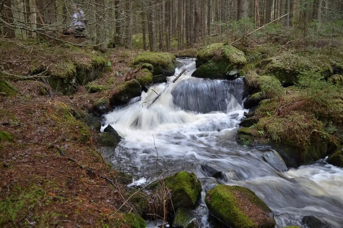     Источник: Краеведческий клуб "Оберег". Карелия. / vk
