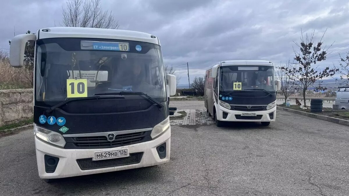     Автор: Миндор Ставропольского края