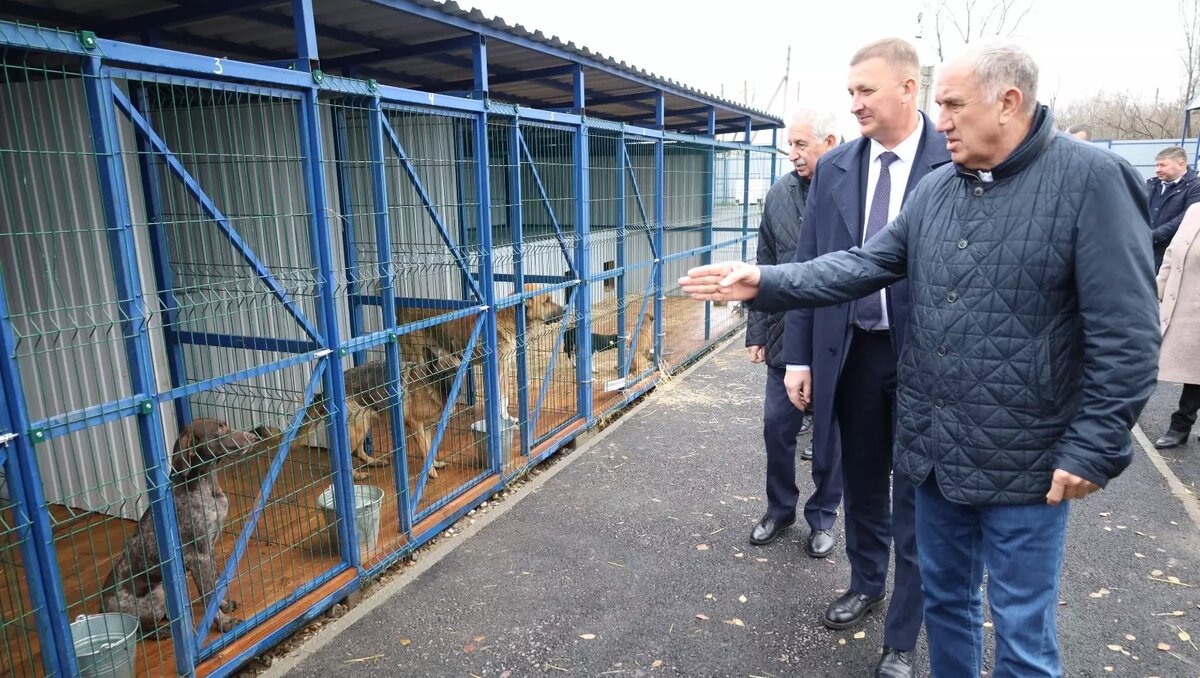     Автор: Дума Ставропольского края