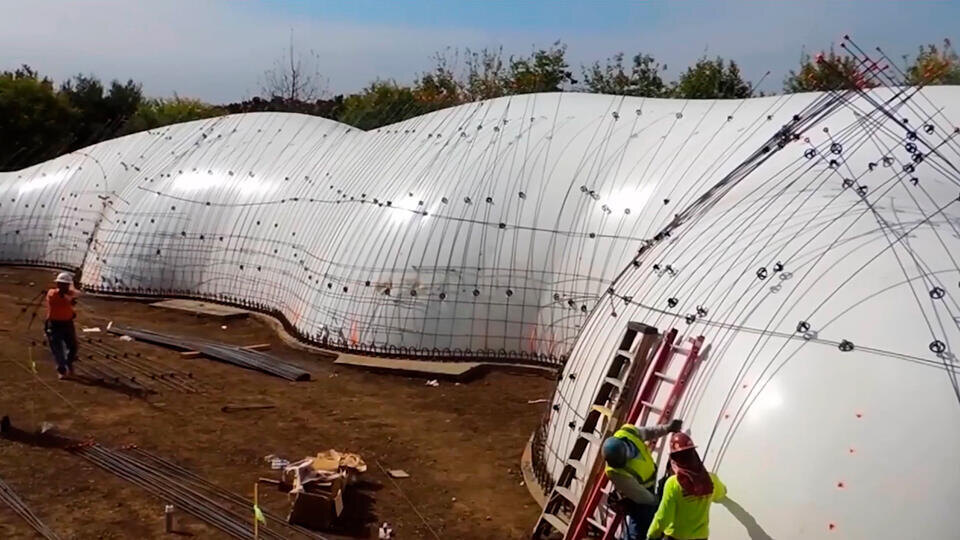 Фото: © Скриншот видео