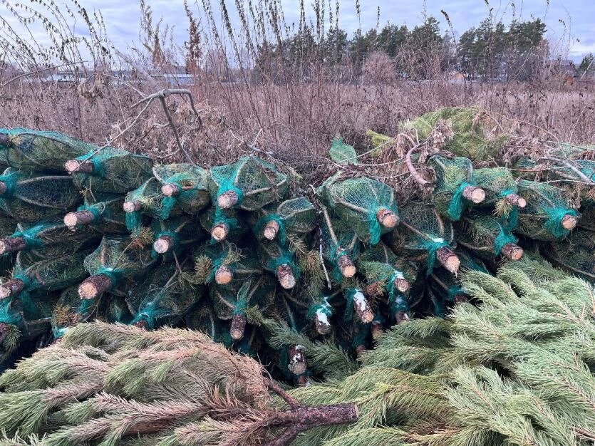 Фото: Уральское межрегиональное управление Россельхознадзора