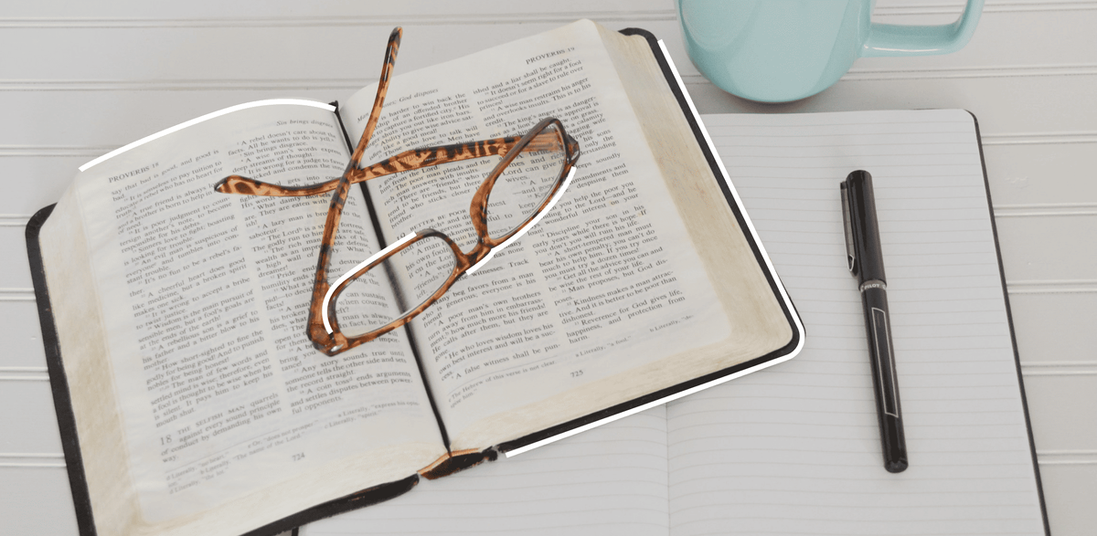 Источник: Авторский материал пользователя платформы. Источник фото: Unsplash  (https://unsplash.com/)