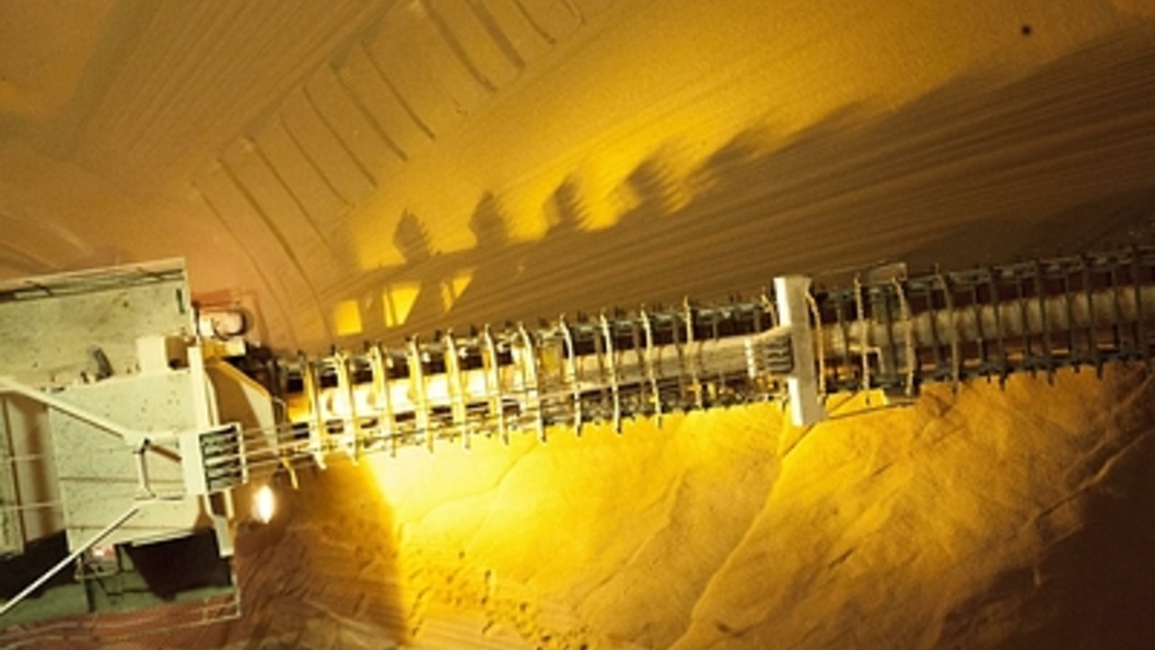    Фото: Serguei Fomine/Globallookpress