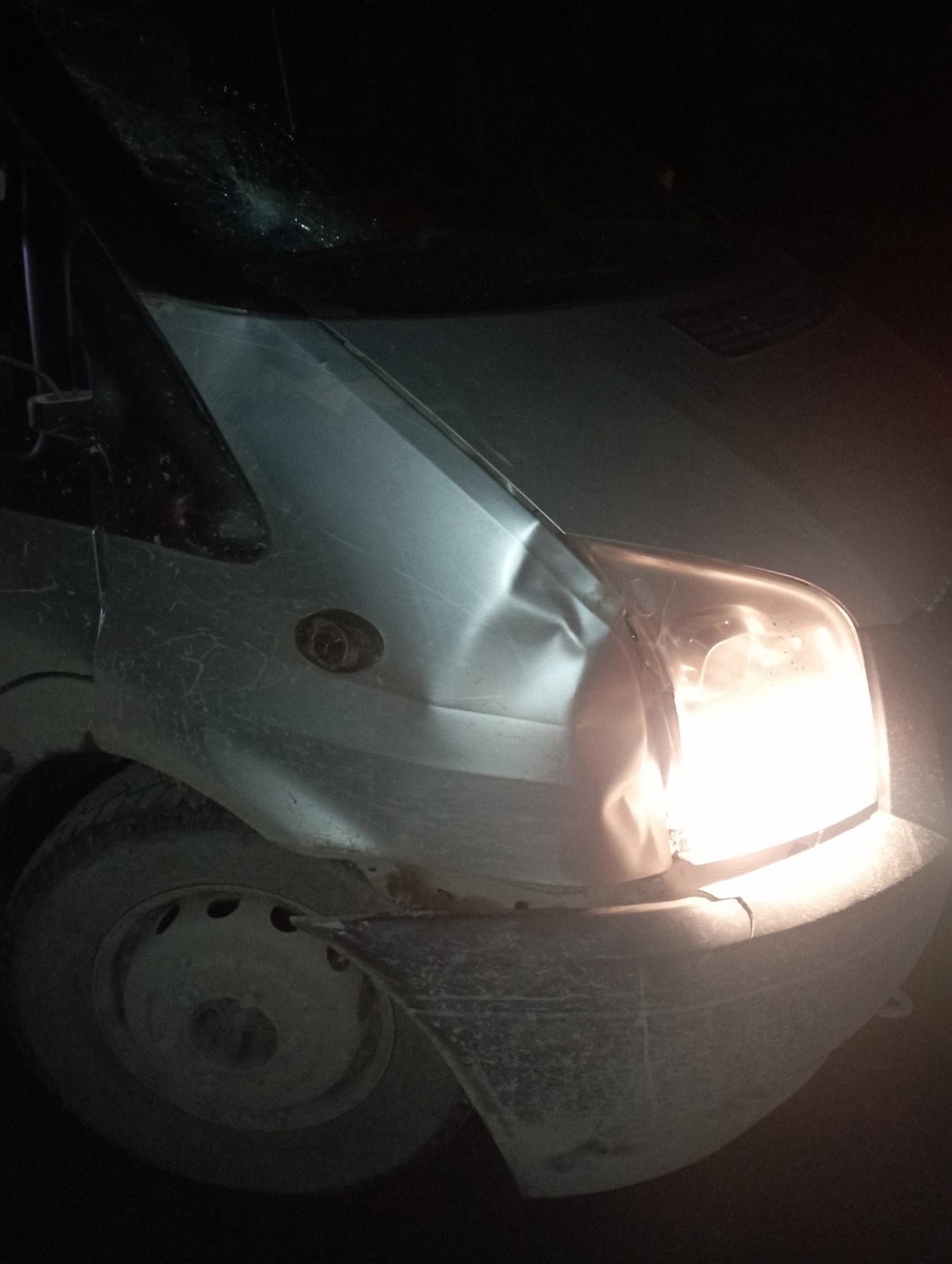 Фото:    
 Госавтоинспекция Петрозаводска📷
