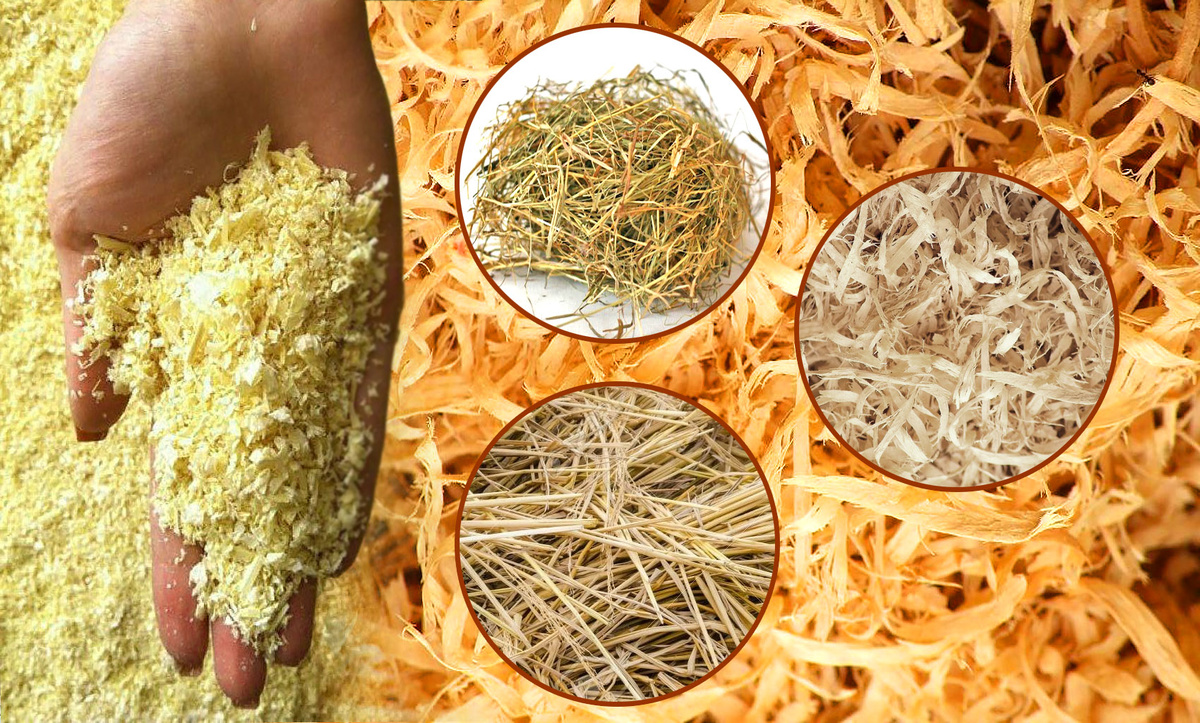 Коллаж автора