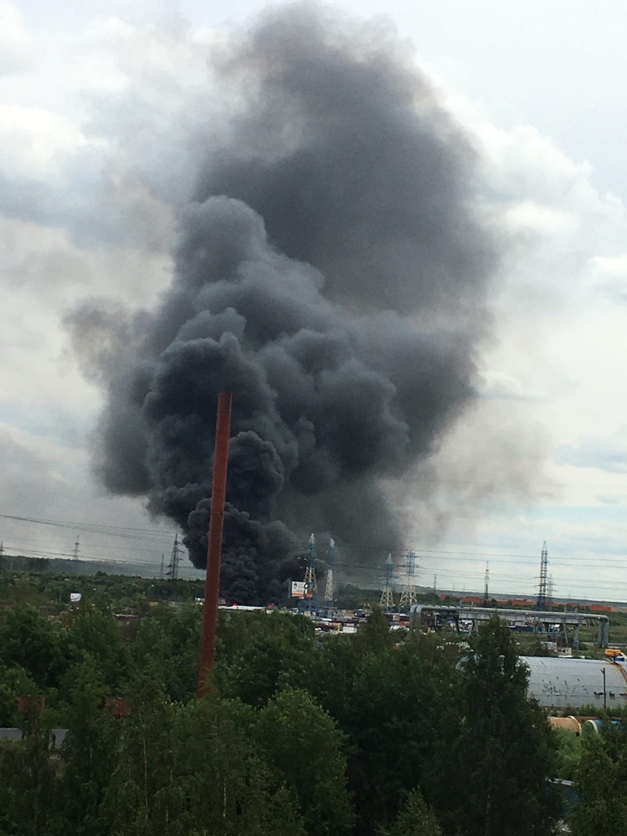 фото из интернета