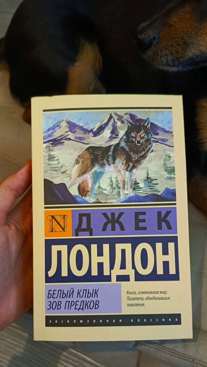 тгк: @dog_Fork_Fork