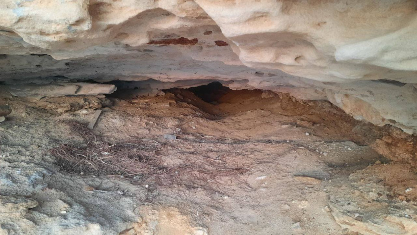 Фото: тг-канал «Хроники анапского аборигена"