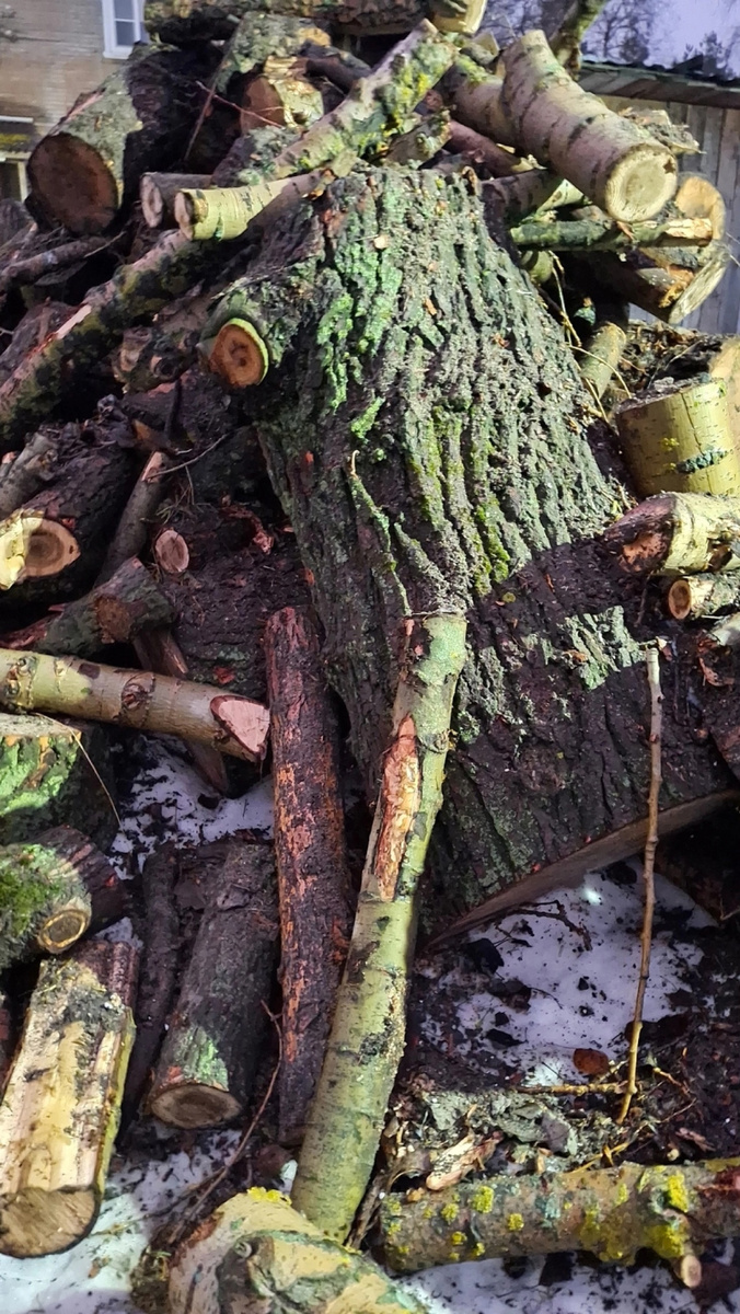    Пенсионерке в Петрозаводске привезли неподъемные бревна вместо дровпаблик «ТОС Соломенное»