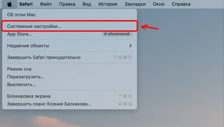  📷 📷    Поиск IP-адреса на macOS