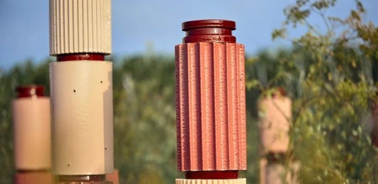    Агродизайн виноградников с концепцией биоразнообразия представили во Франции