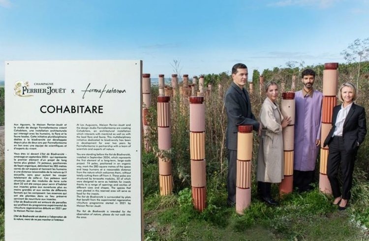     Агродизайн виноградников с концепцией биоразнообразия представили во Франции
