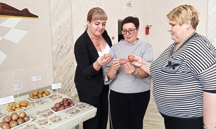    Важный семинар по картофелеводству состоялся в Ставропольском крае