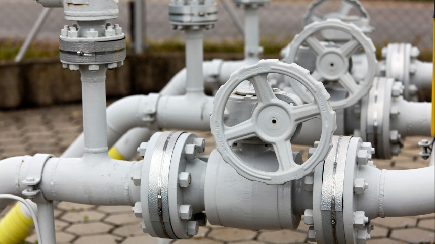    Фото: www.globallookpress.com/CHROMORANGE/Bilderbox; 5-tv.ru