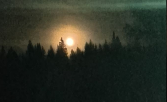 Фото из коллекции моей подписчицы Татьяны.