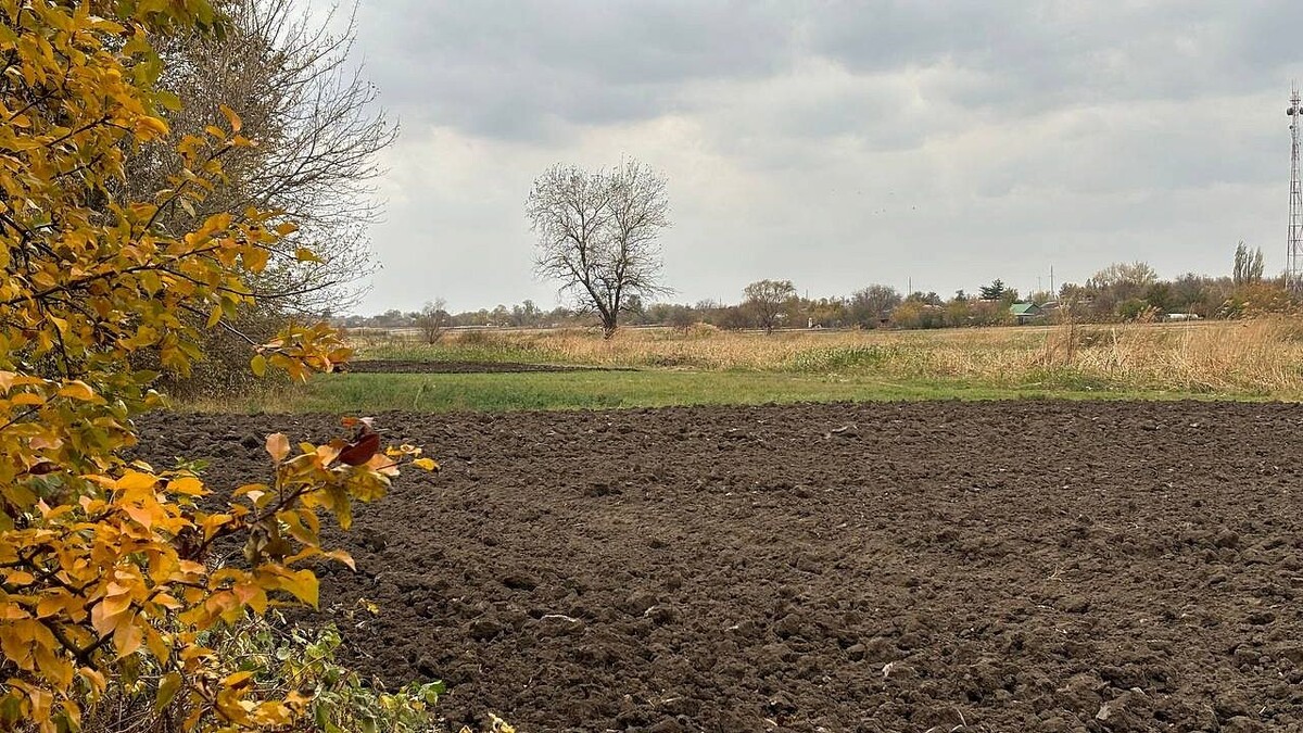    Фото: телеканал «Краснодар»