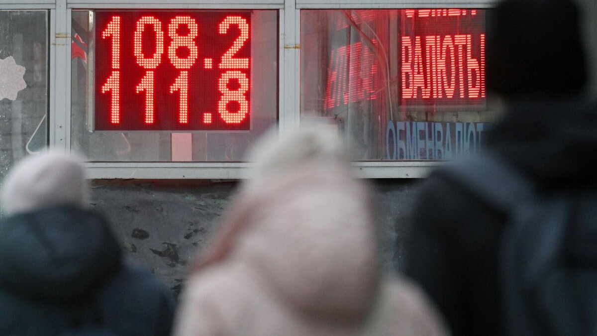 Фото с сайта Яндекса картинки