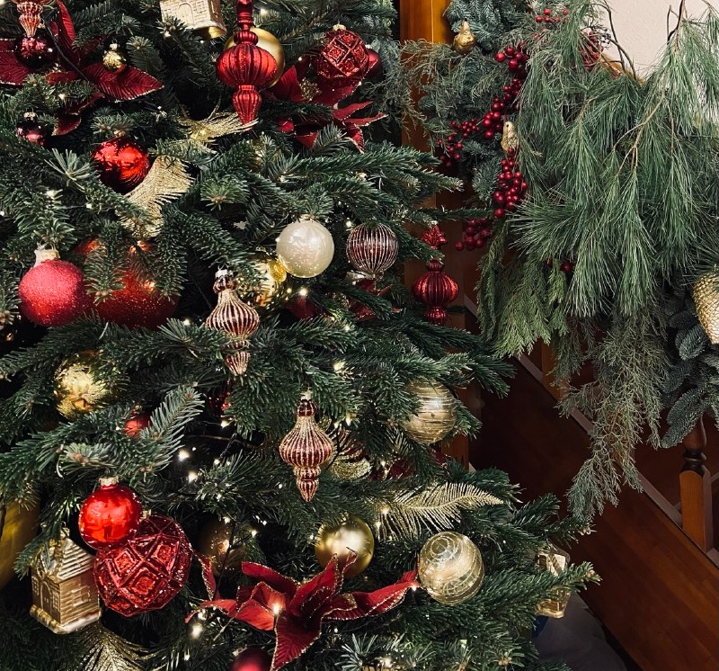 фото "Книжного бара"