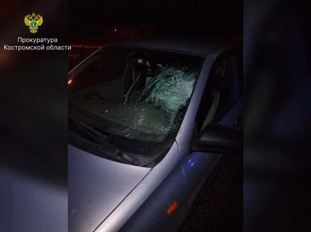    Фото: Прокуратура КО