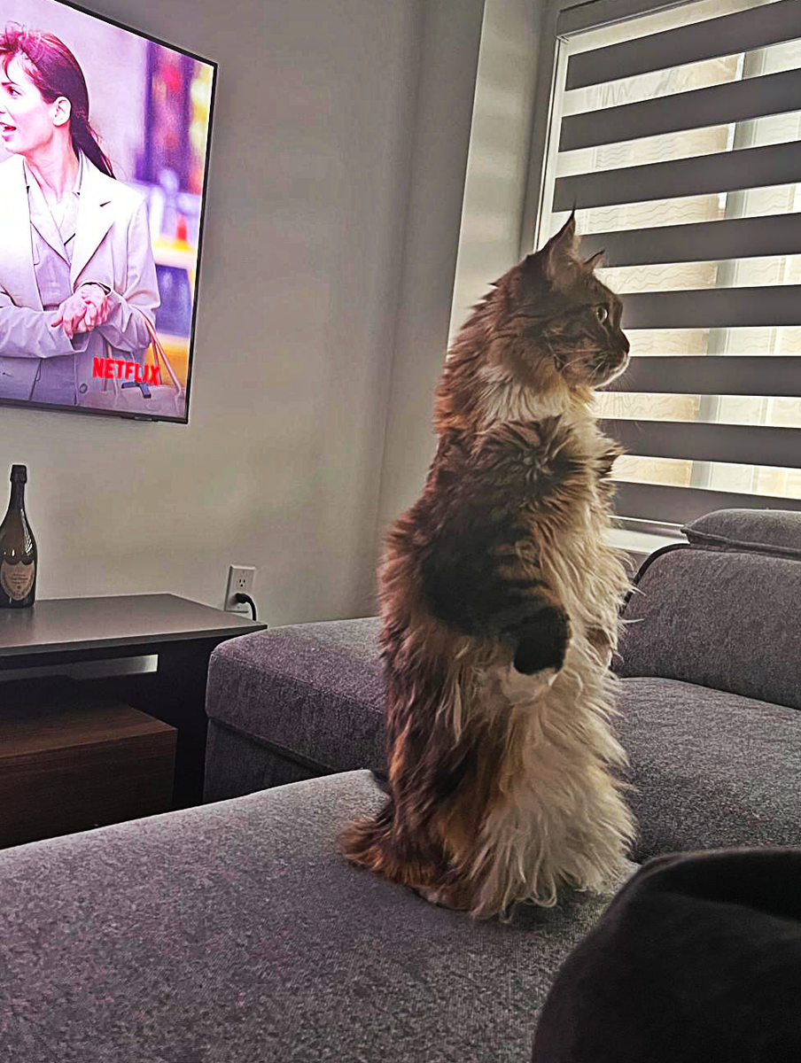 «где эта великолепная женщина?» фото автора