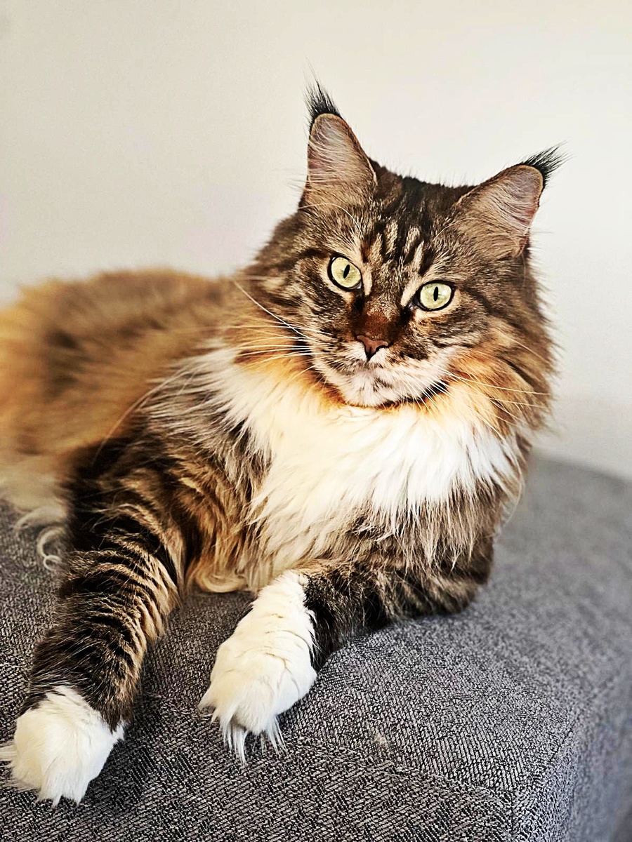 я здесь😄 фото автора