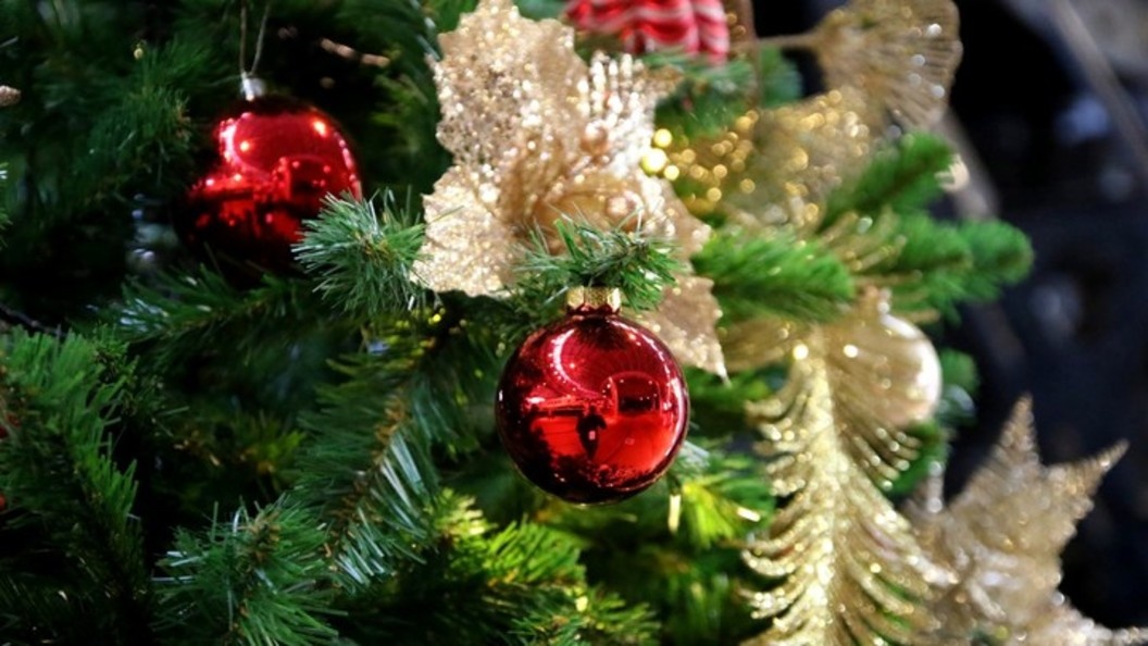    Фото: MAKSIM KONSTANTINOV/GLOBAL LOOK PRESS