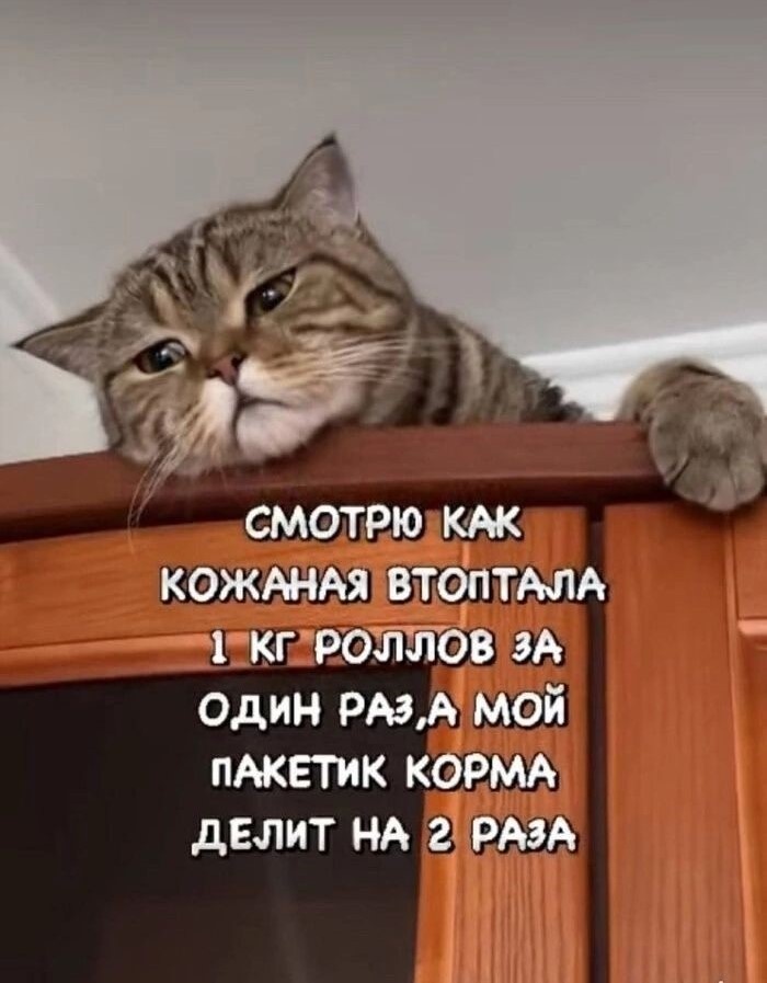 Я за картинки прикольные