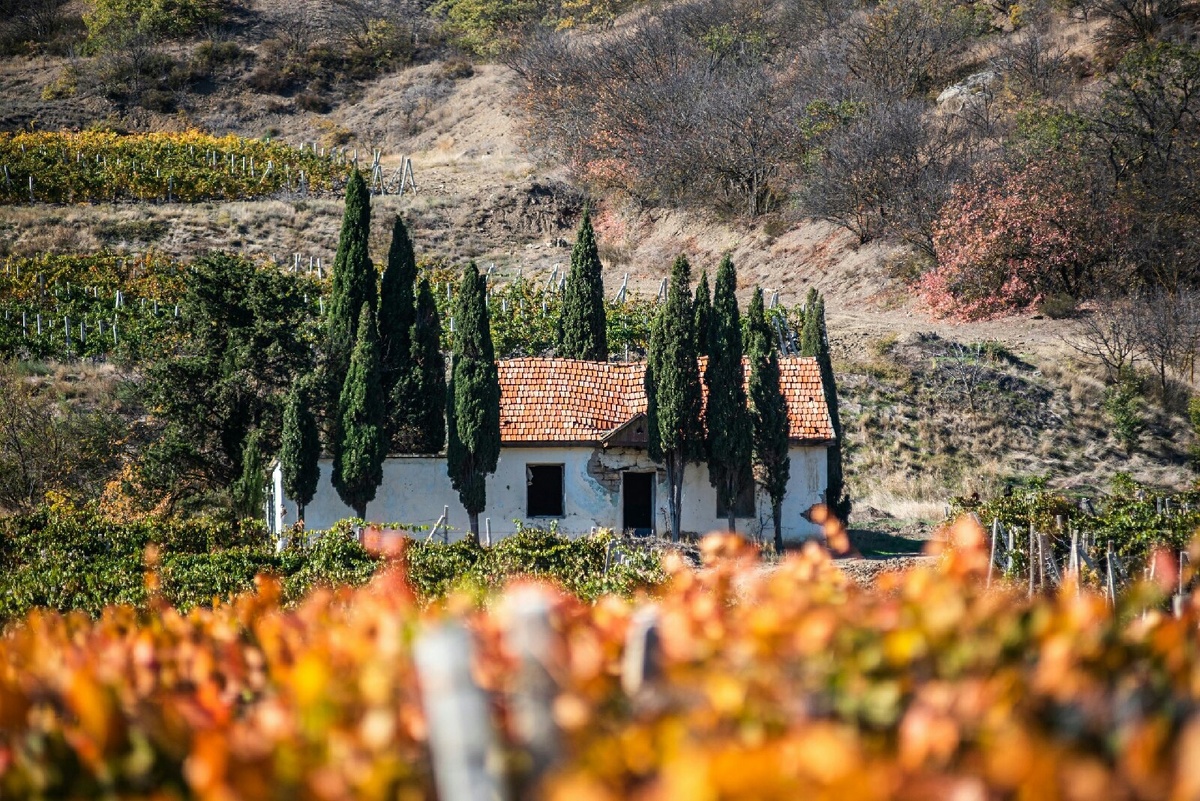 Фото: Максим Куташев