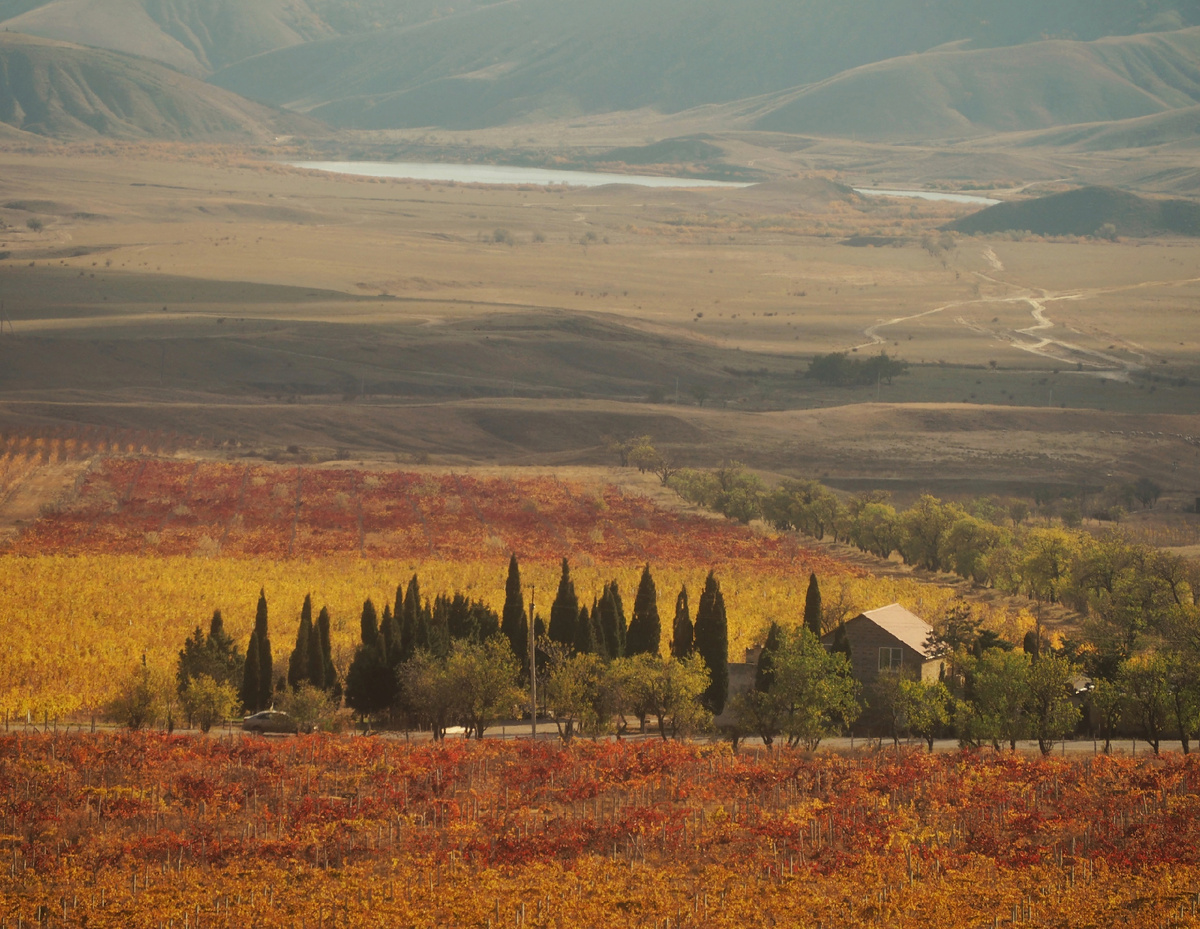 Фото: Богдан Погадаев 