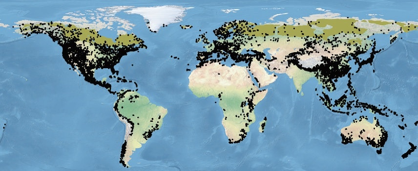 Распространение хвойных