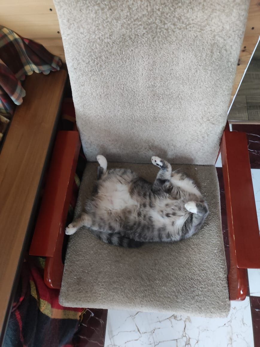 Кресло - месть тихого часа.