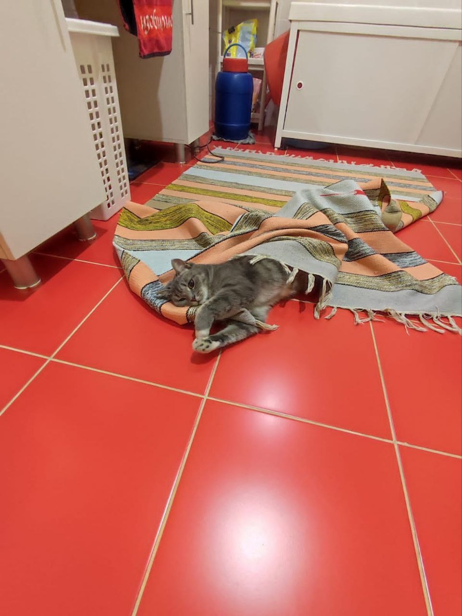 Любимая игра - собрать коврик.