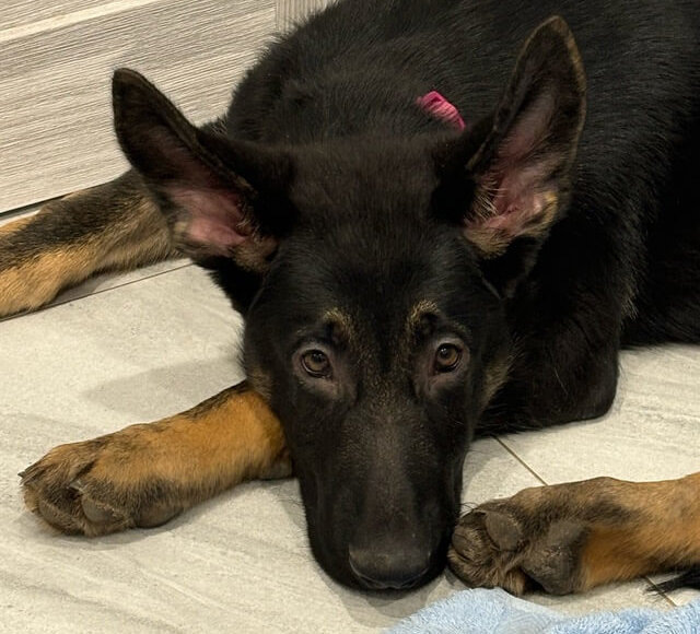    Фото: ОренСпас